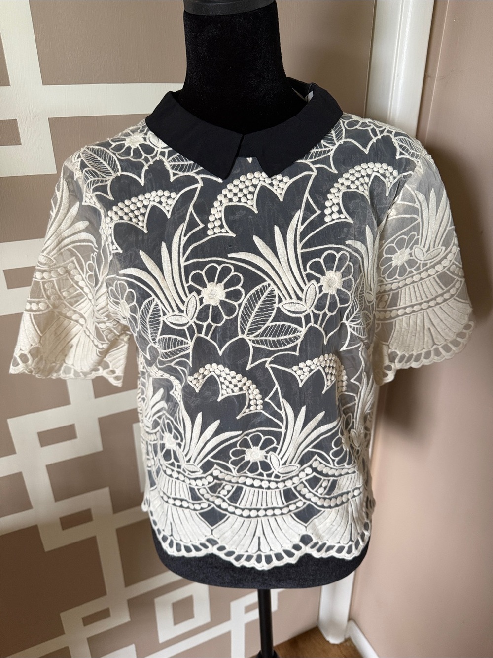 ASOS Sheer Lace Applique Cream Top with Black Peter Pan Collar, NWT